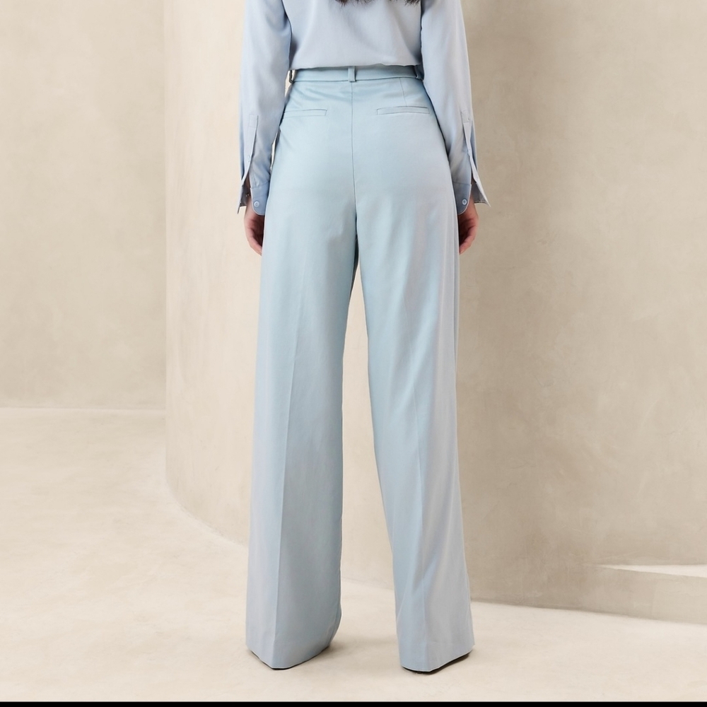 Banana Republic Pleated Wide Leg Trousers Women's Size 14 Light Blue Work Pants